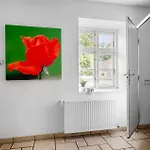 Lovely In With Wifi