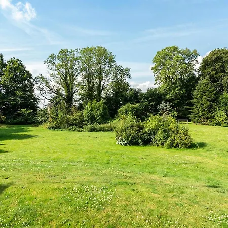 Lovely In With Wifi *